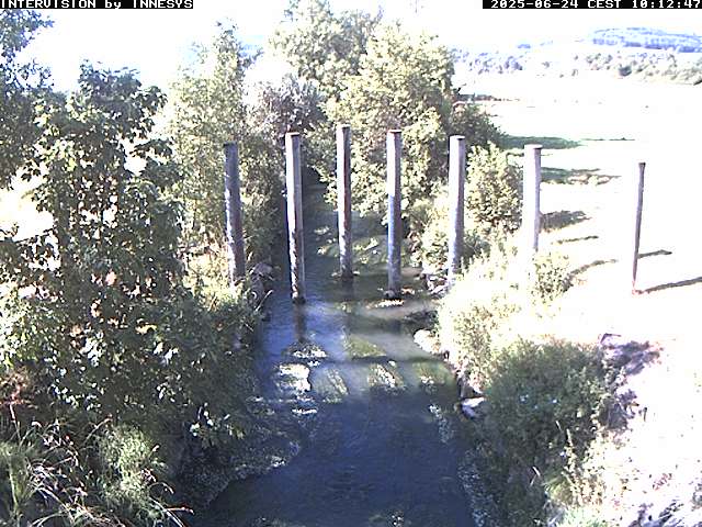 Camera Live Image