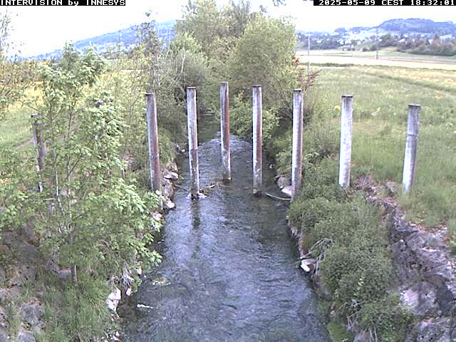 Camera Live Image